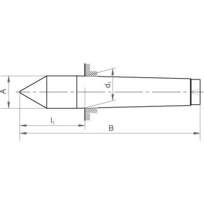 Centrovací hrot pevný DIN806 MK 4 WS FORMAT - obrázek