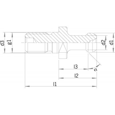 Uťahovací čap JISB6339 BT40 45 ° Haimer - obrázek